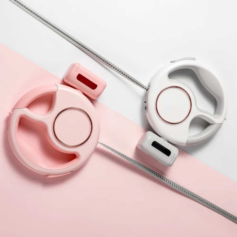 Multifunctional dog leash with LED