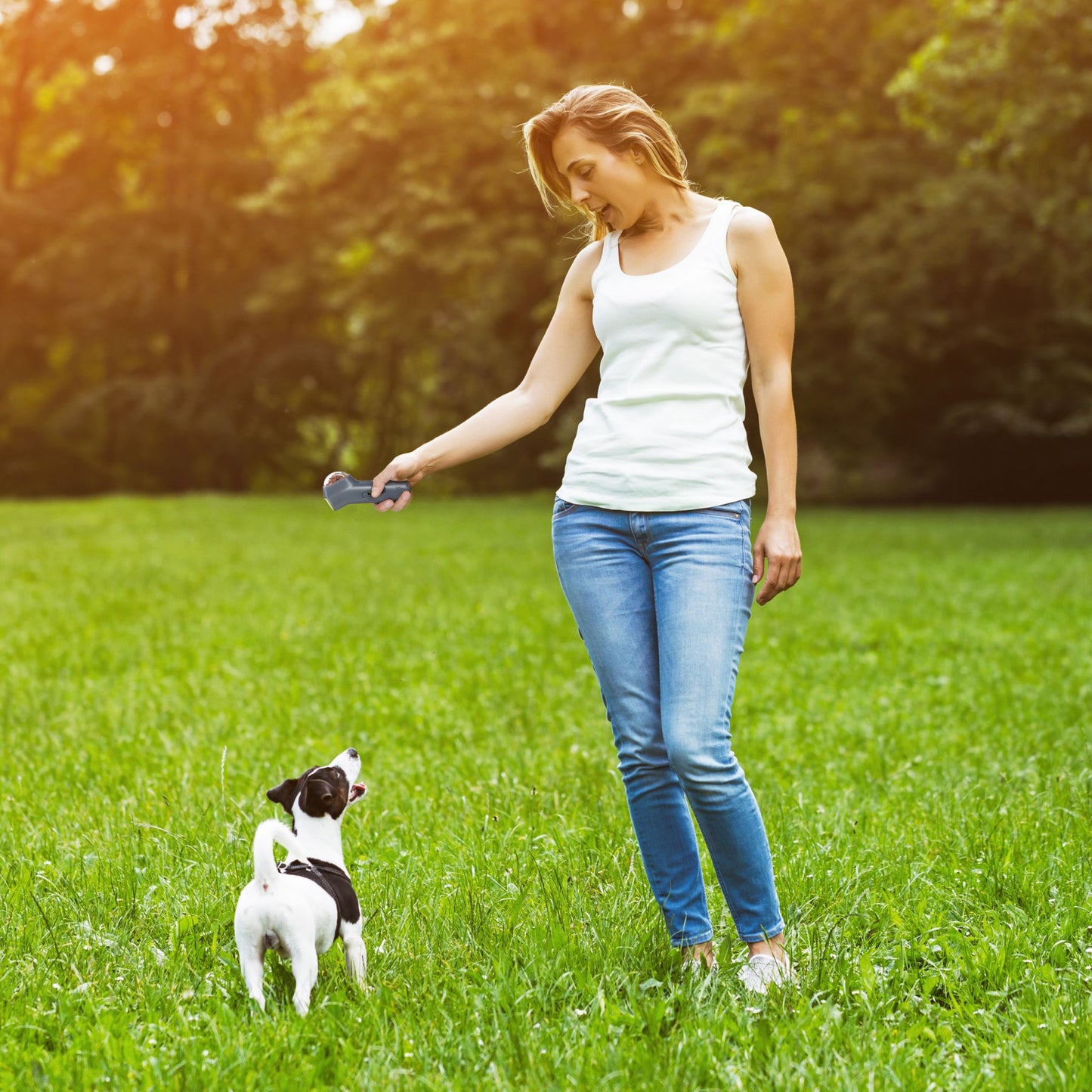 Treat launcher for pets