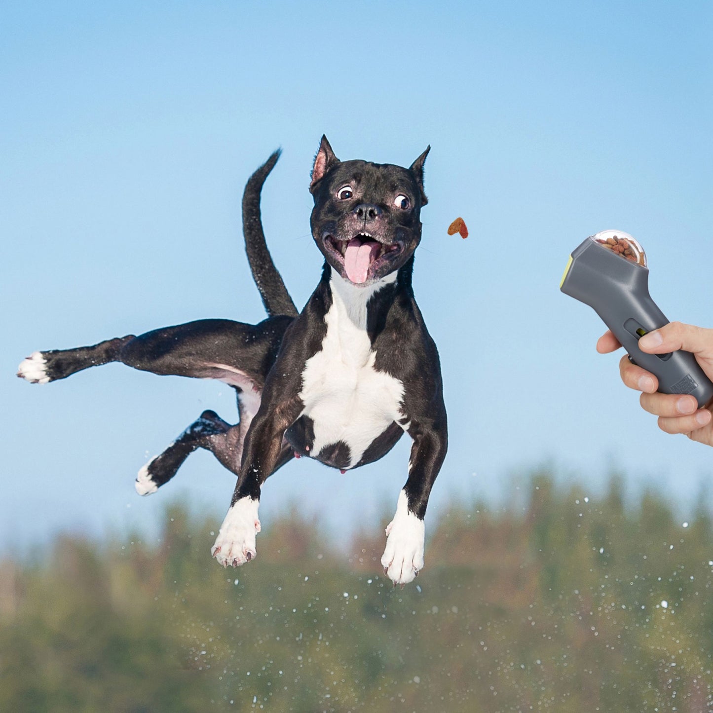 Treat launcher for pets