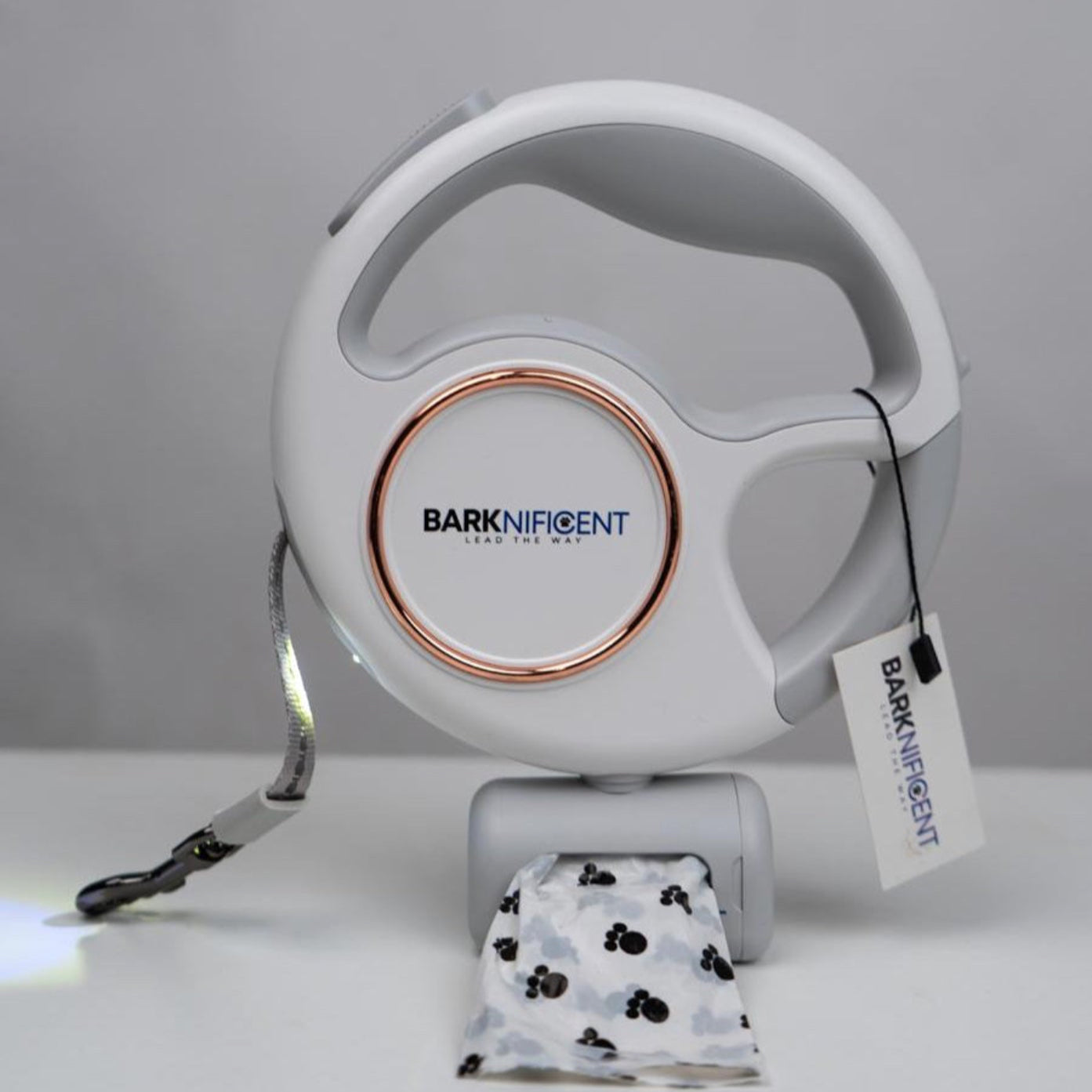 Multifunctional dog leash with LED