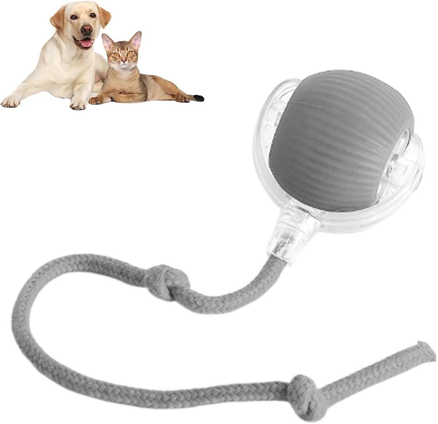 RolliePet™ Smart Chase Toy Ball