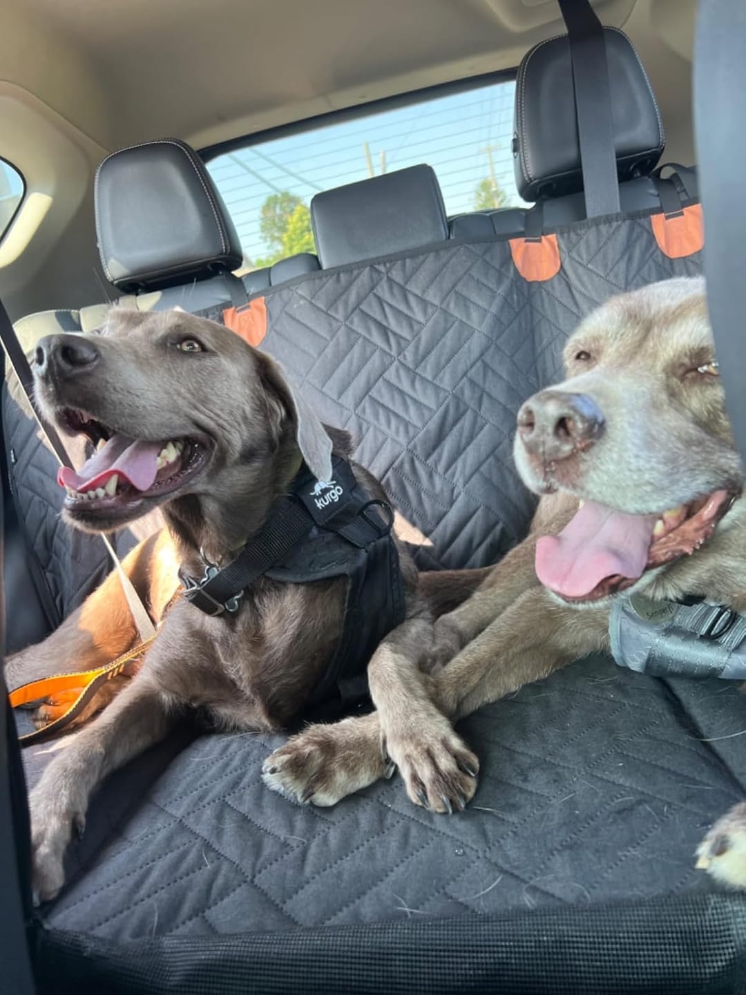 K9 Cruiser™ Car Seat Cover for Pets