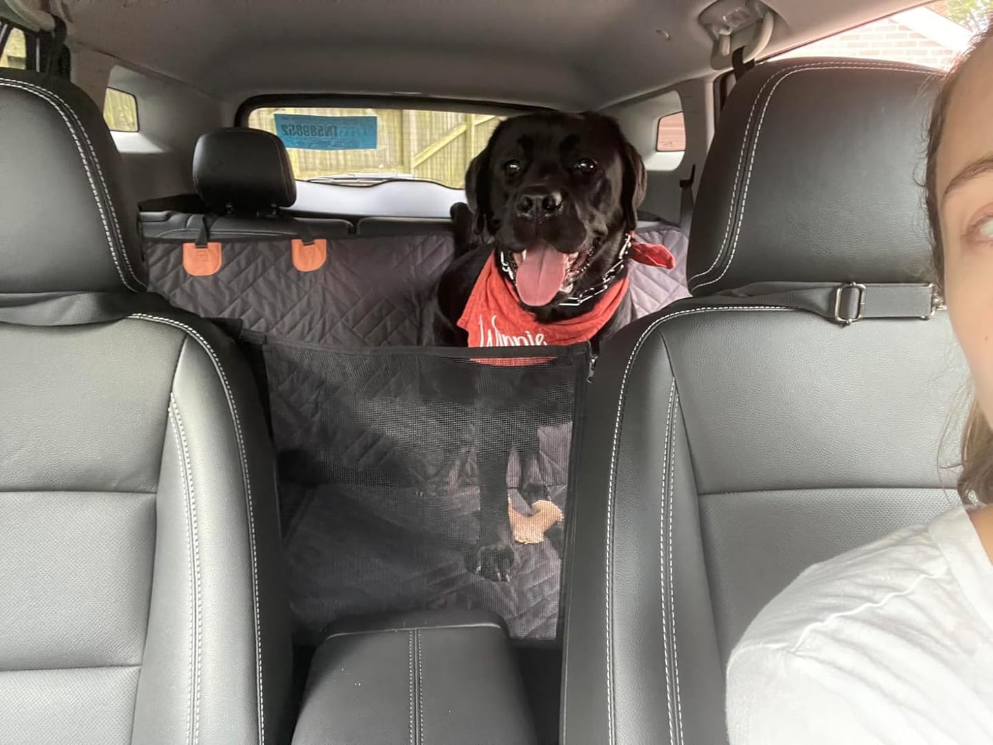K9 Cruiser™ Car Seat Cover for Pets