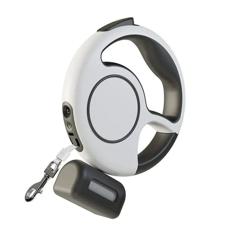 Multifunctional dog leash with LED