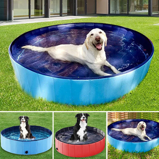 Dog pool