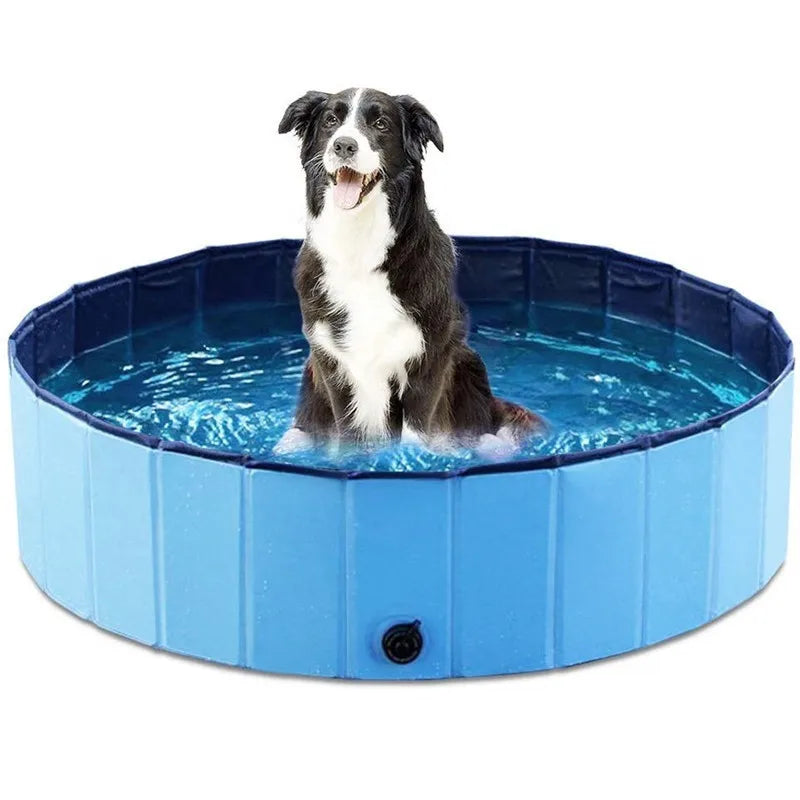 Dog pool
