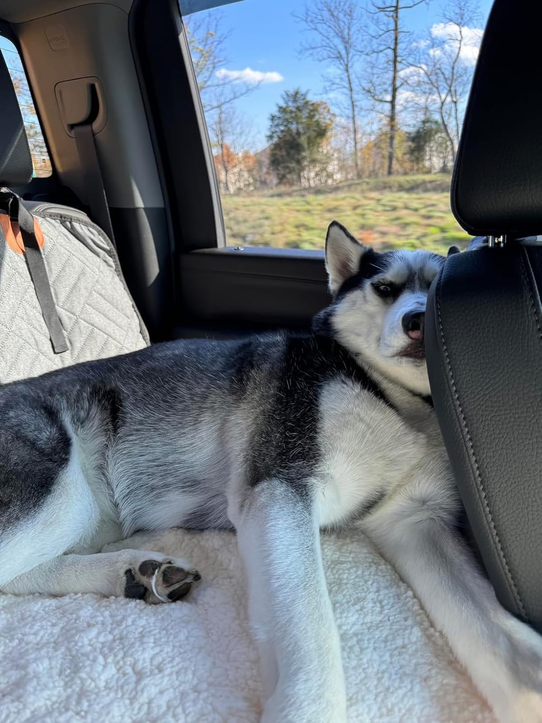 K9 Cruiser™ Car Seat Cover for Pets