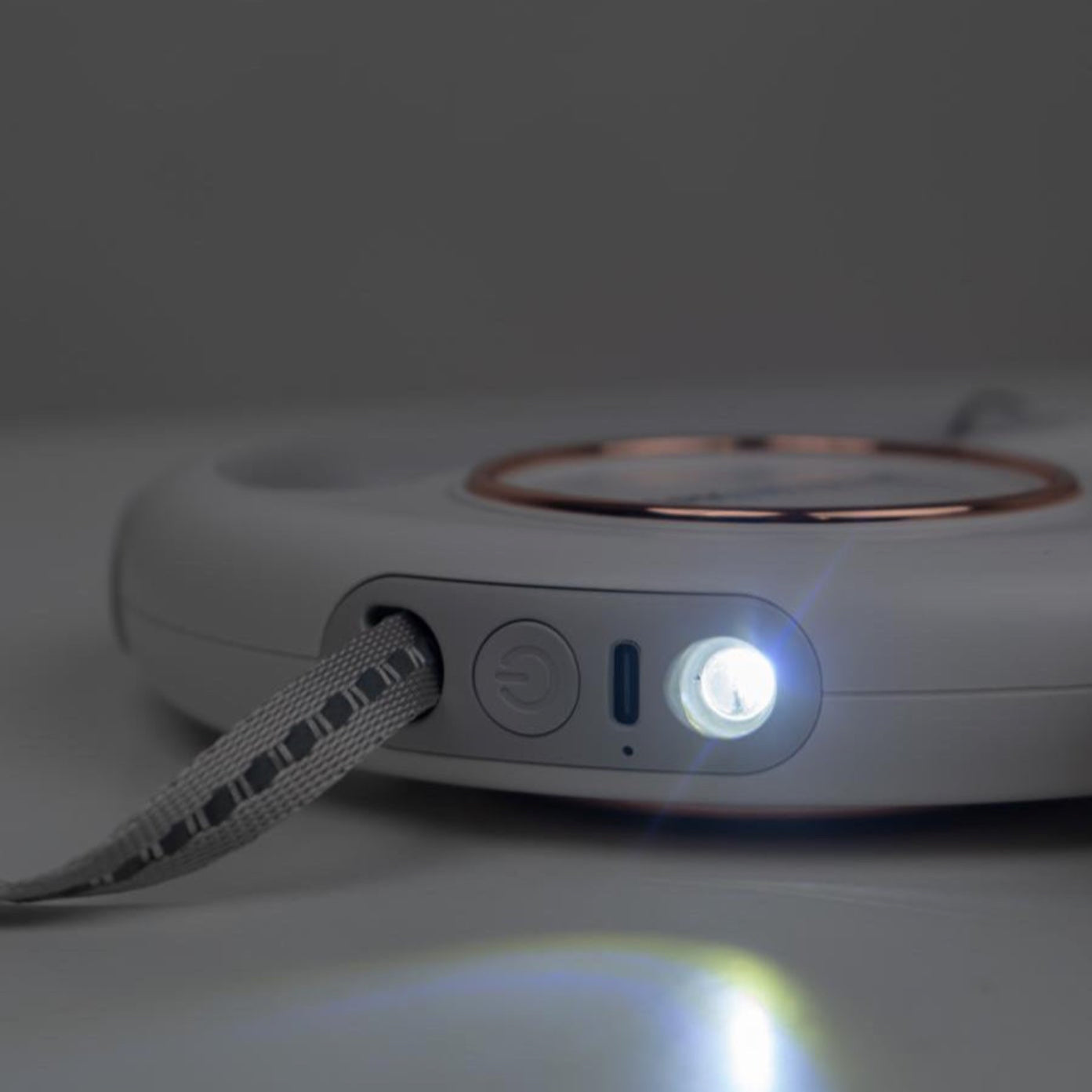 Multifunctional dog leash with LED