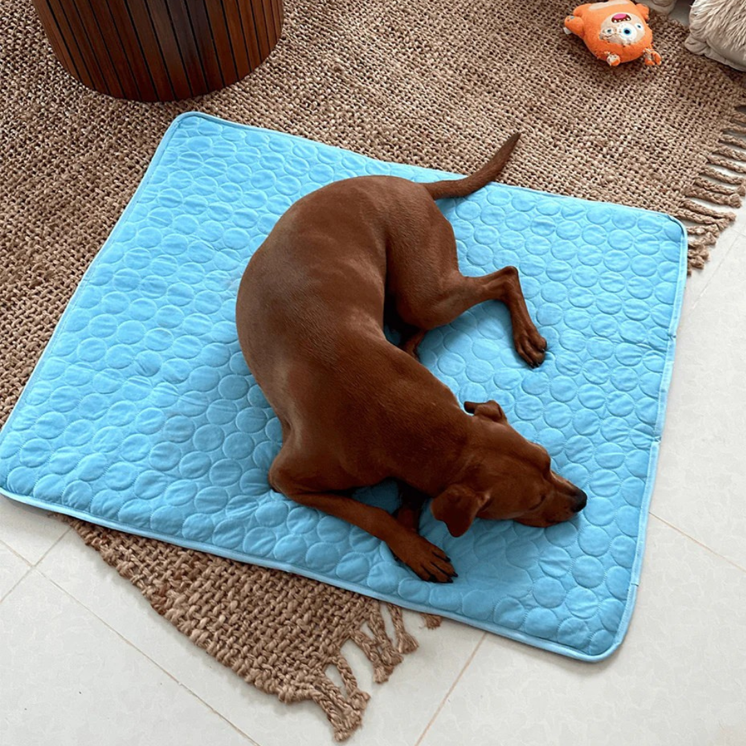 CoolCanine - Premium Dog Cooling Pad