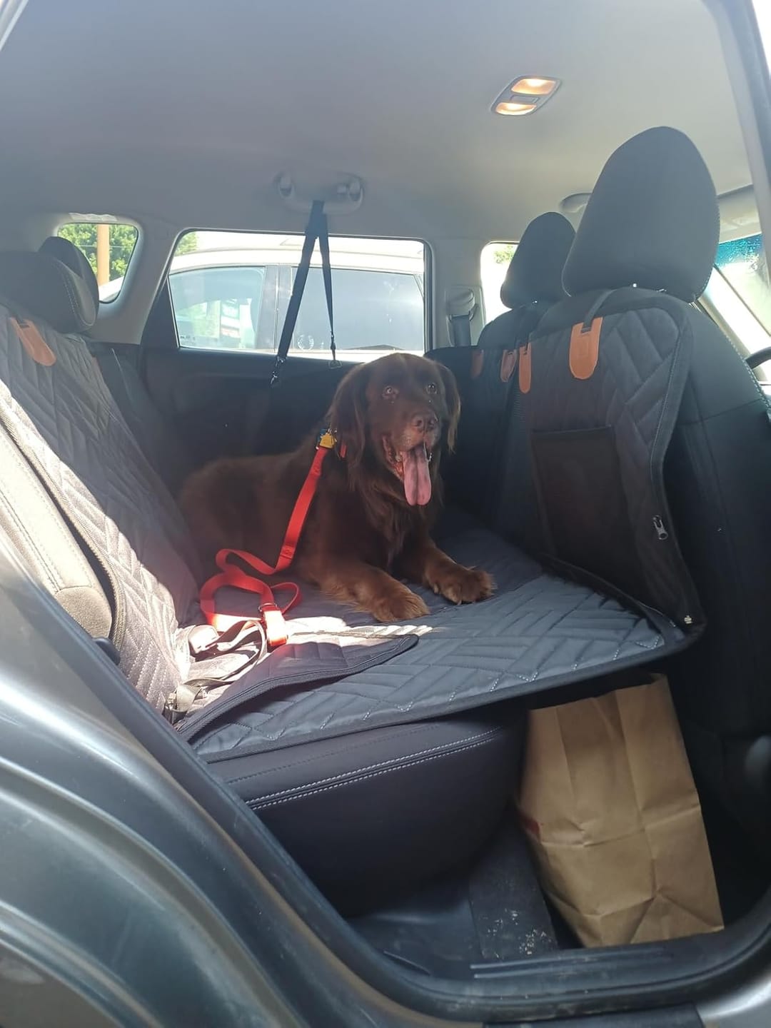 K9 Cruiser™ Car Seat Cover for Pets