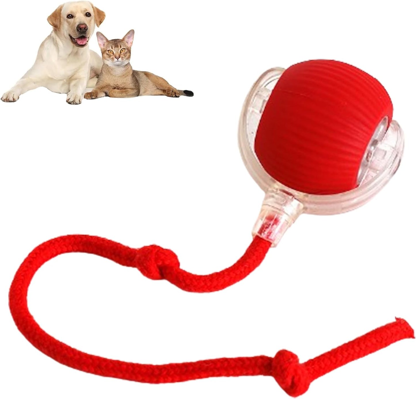 RolliePet™ Smart Chase Toy Ball