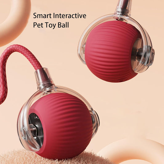 RolliePet™ Smart Chase Toy Ball