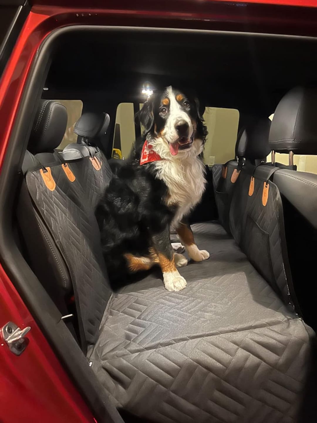 K9 Cruiser™ Car Seat Cover for Pets